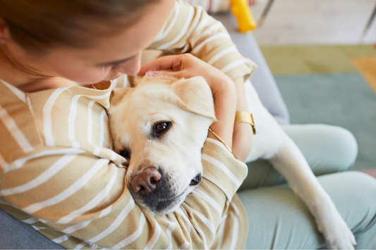 Lassen Sie Ihren Hund ein Hund sein