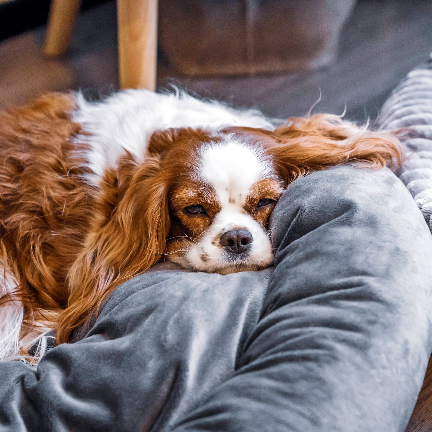 BUZZY weiches Hundebett Grau