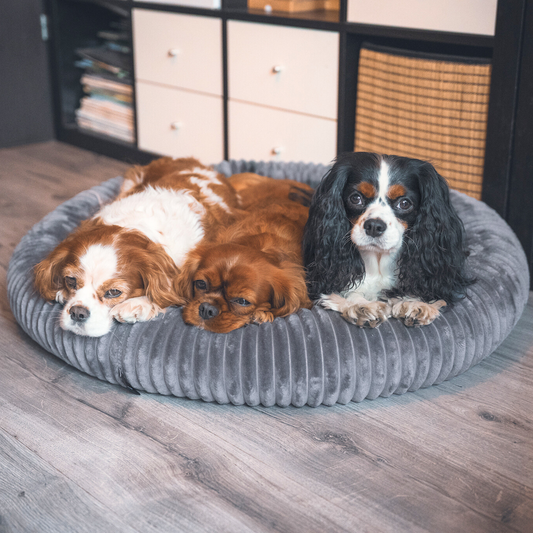 LUNA Weiches Hundebett