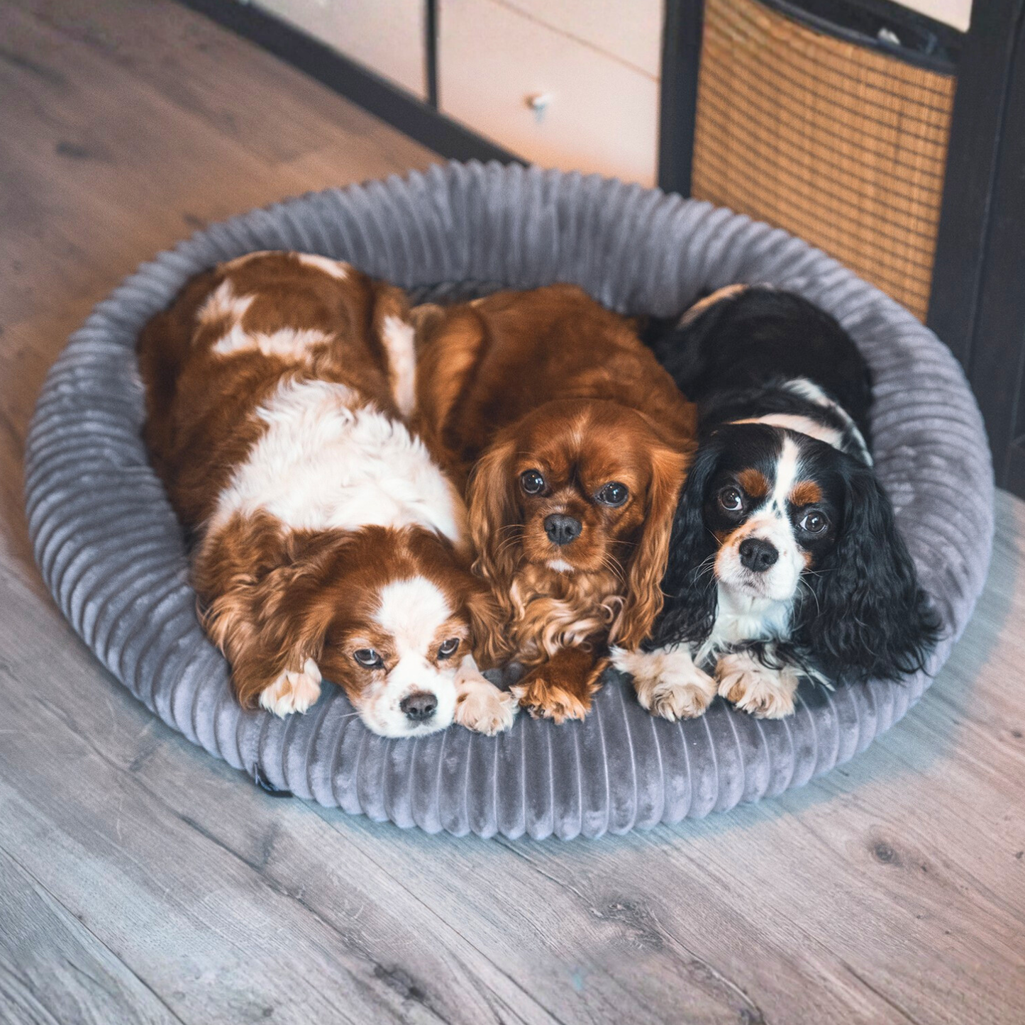 LUNA Weiches Hundebett