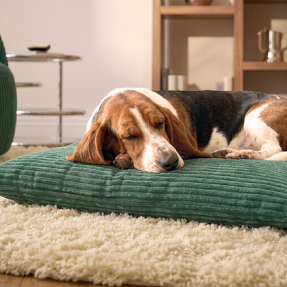 MOLLY Hundekissen aus Cord mit Bezug