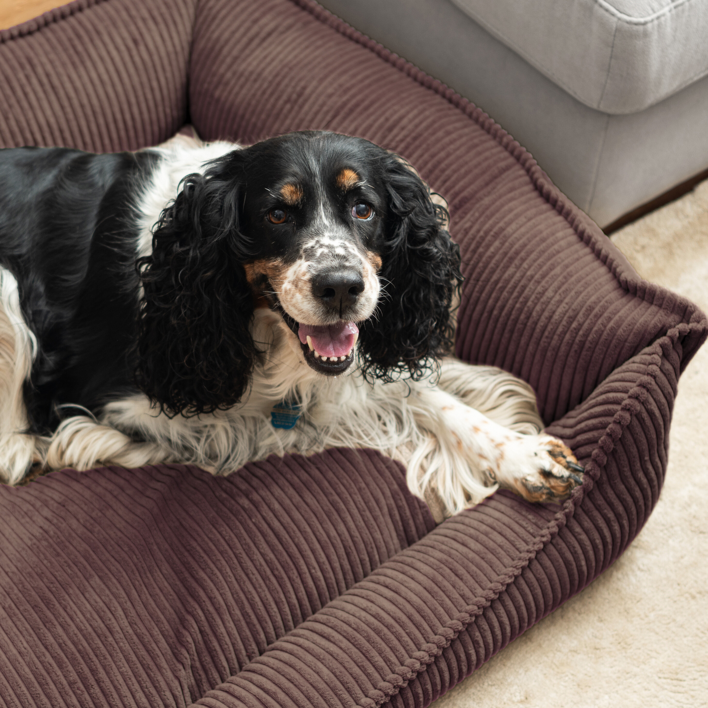 HUGO Orthopädisches Hundebett aus Cord PREMIUM-LINE