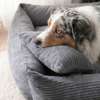 MOLLY Hundebett aus Cord