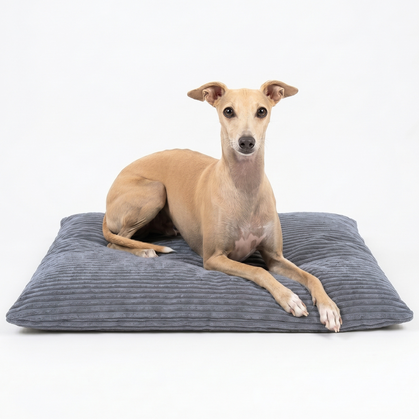 MOLLY Hundekissen aus Cord mit Bezug