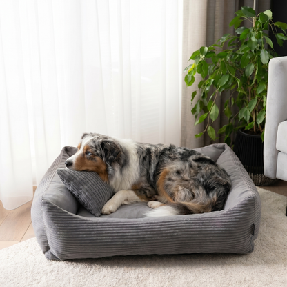 MOLLY Hundebett aus Cord