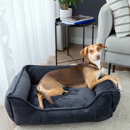IRIS Orthopädisches Hundebett PREMIUM-LINE