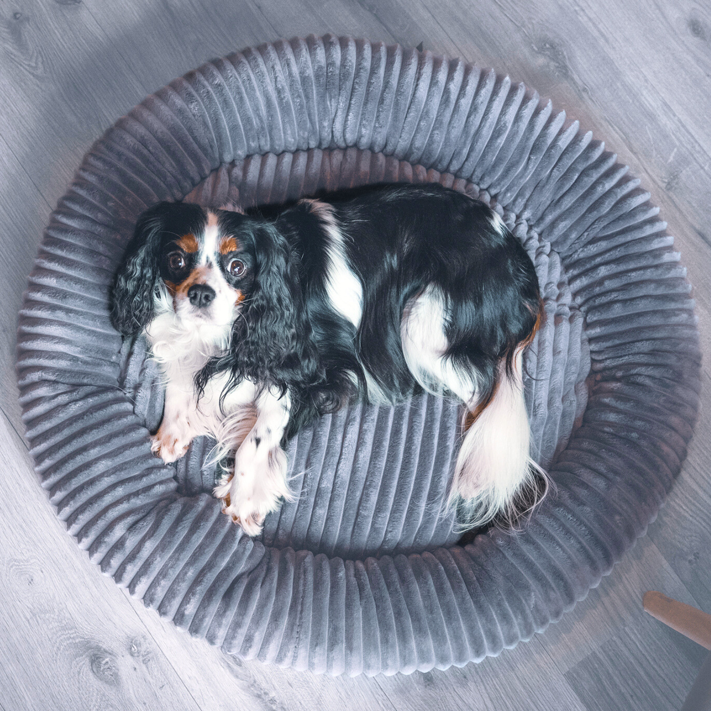 LUNA Weiches Hundebett