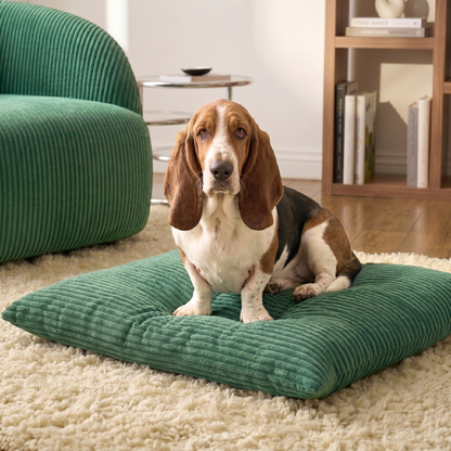 OUTLET MOLLY Hundekissen aus Cord mit Bezug