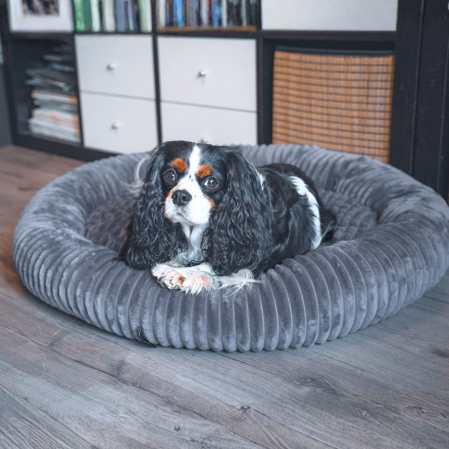 LUNA Weiches Hundebett