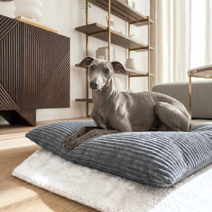 MOLLY Hundekissen aus Cord mit Bezug