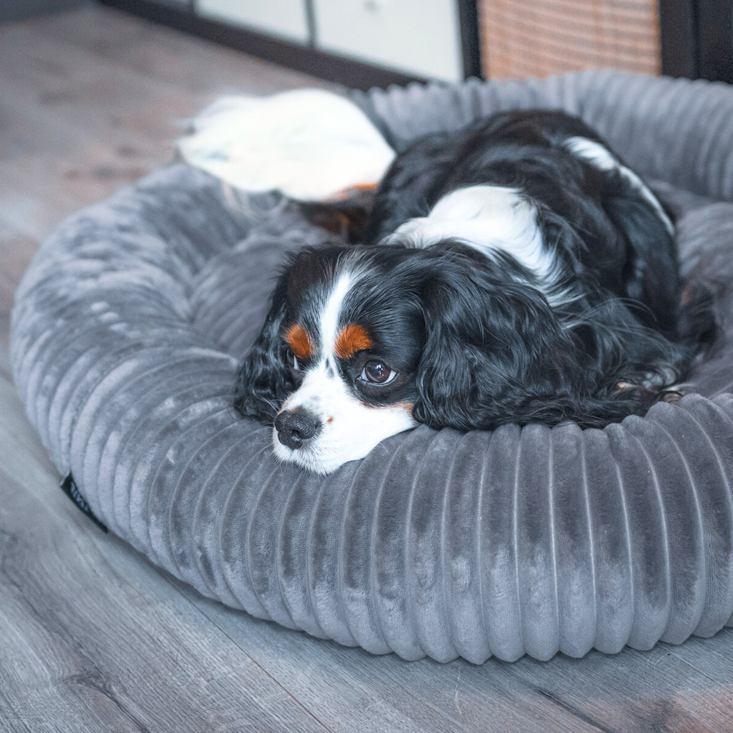 LUNA Weiches Hundebett