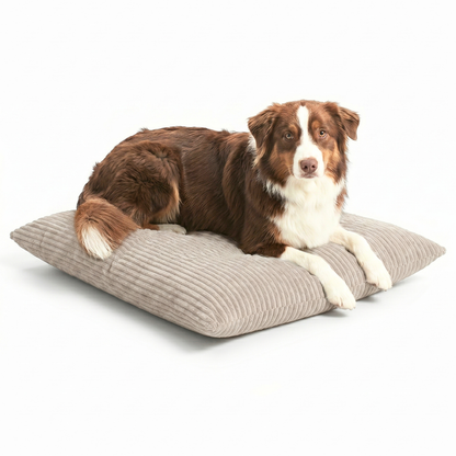 MOLLY Hundekissen aus Cord mit Bezug