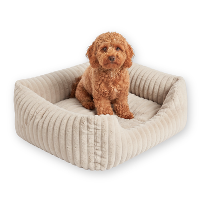 BELLA Hundebett aus Premium-Plüsch für kleine Hunde und Katzen