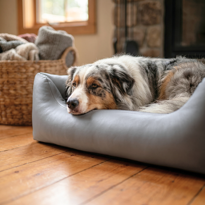MARIO Orthopädisches Hundebett aus Kunstleder