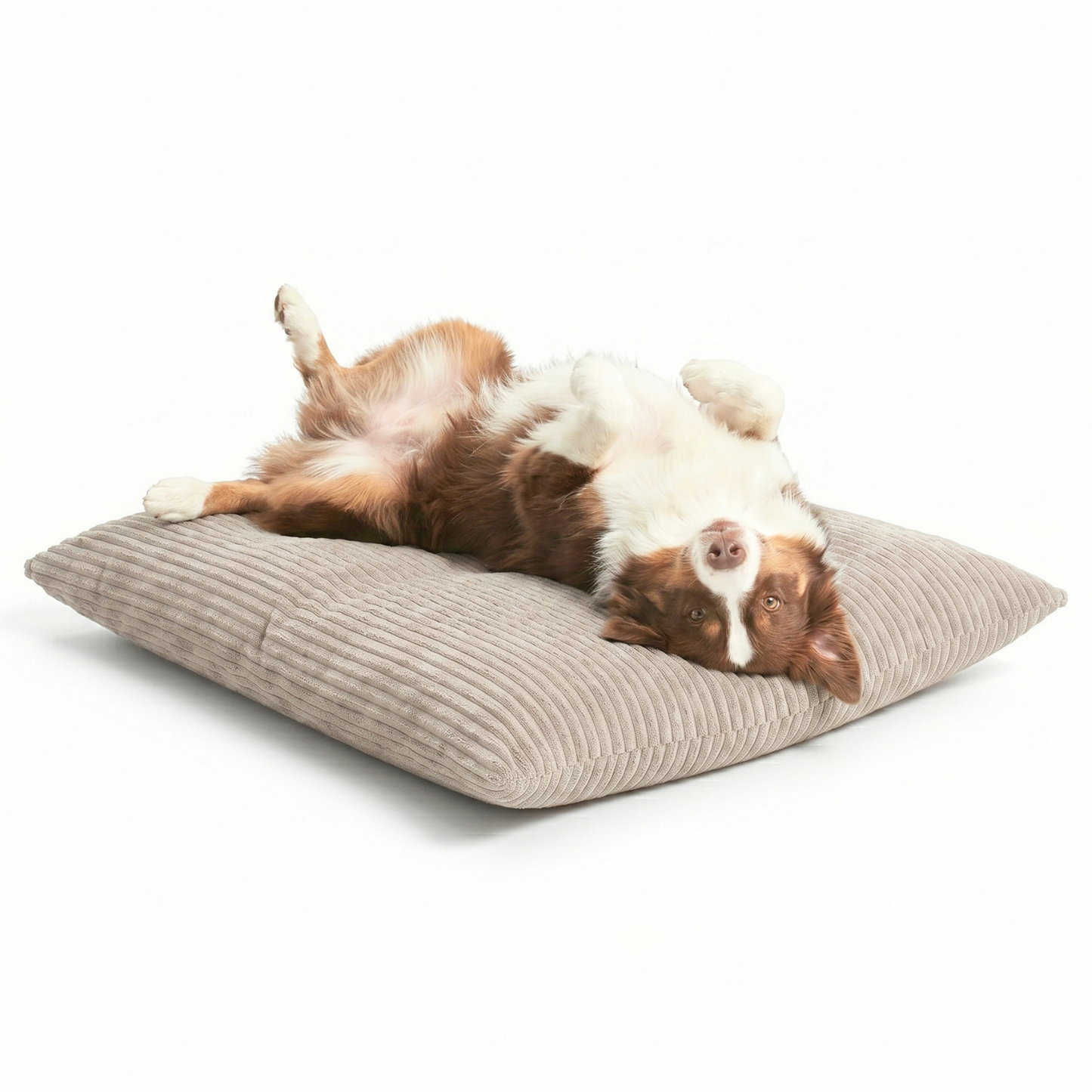 MOLLY Hundekissen aus Cord mit Bezug