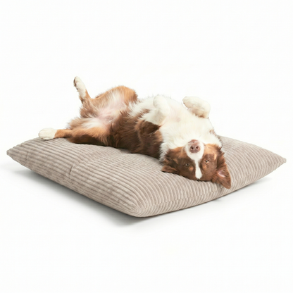 MOLLY Hundekissen aus Cord mit Bezug