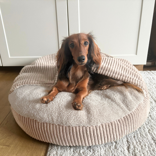 VIGO Hundebett mit Kapuze