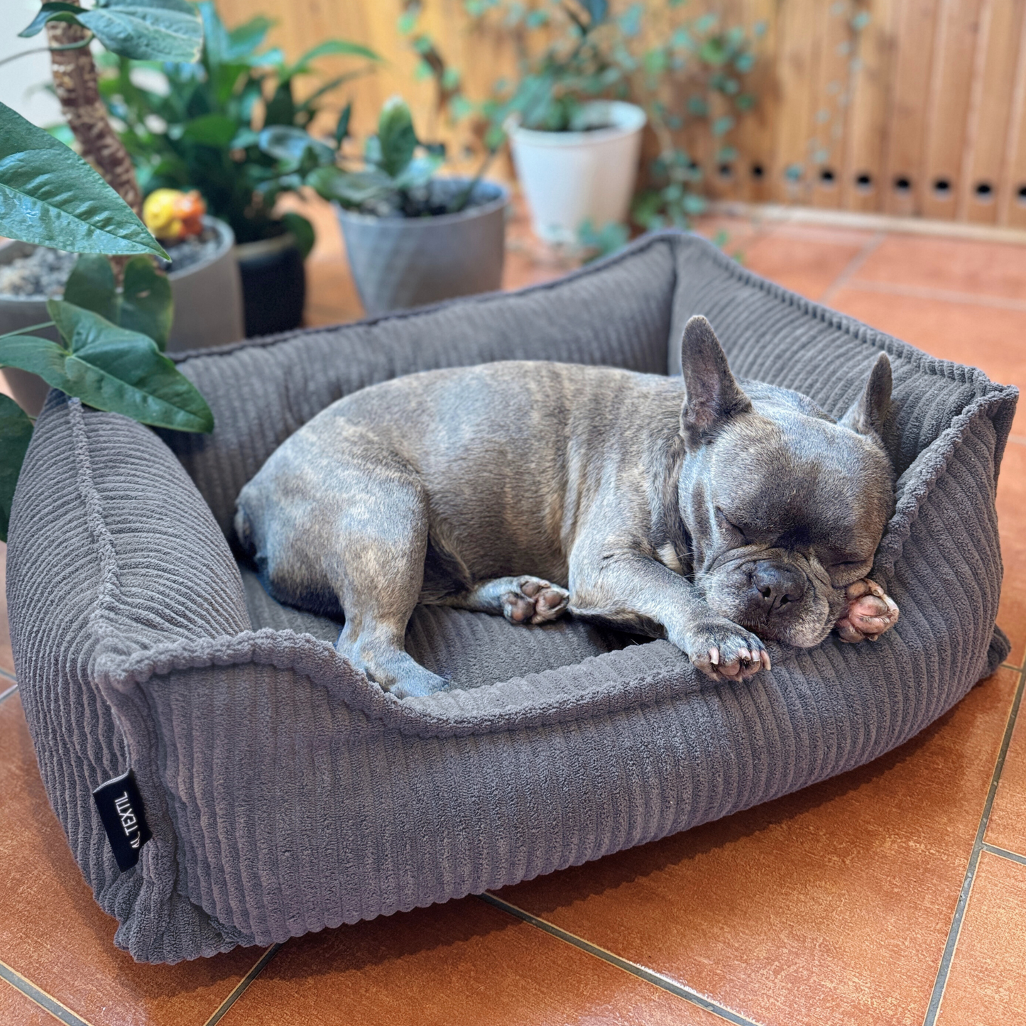 HUGO Orthopädisches Hundebett aus Cord PREMIUM-LINE