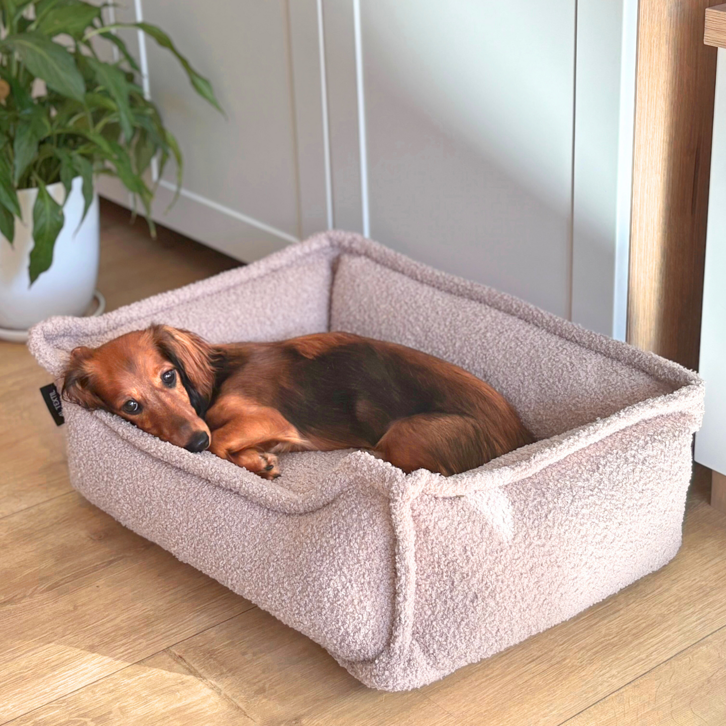LEO - Anti-Stress Hundebett aus Bouclé PREMIUM-LINE