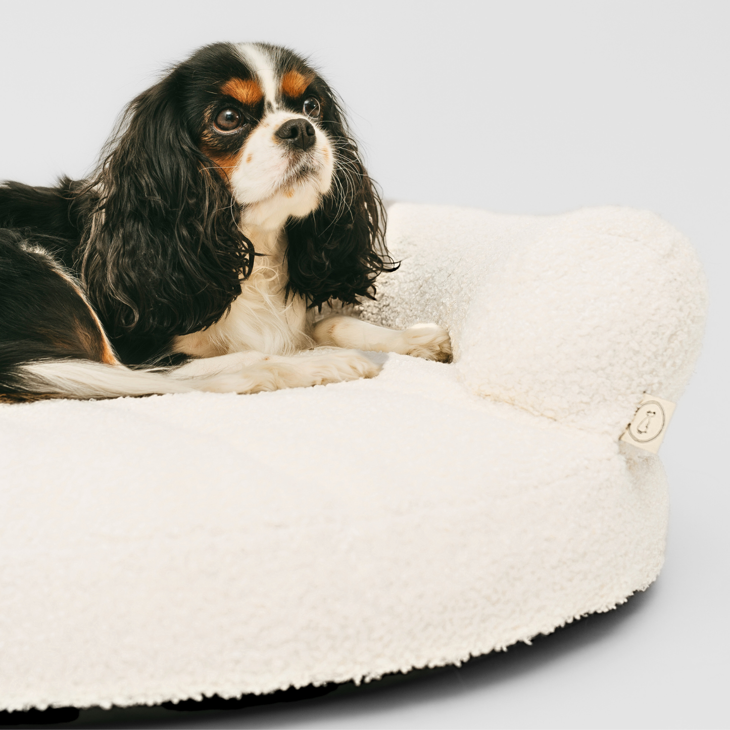 JEFFY Hundebett Bouclé-Sofa PREMIUM-LINE