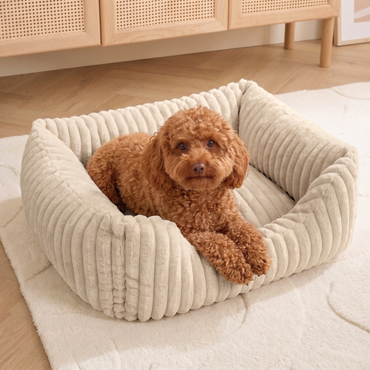 BELLA Hundebett aus Premium-Plüsch für kleine Hunde und Katzen