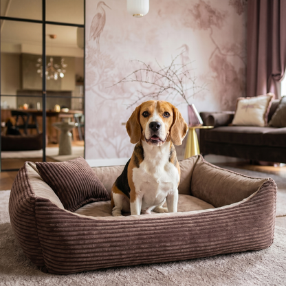 MOLLY Hundebett aus Cord