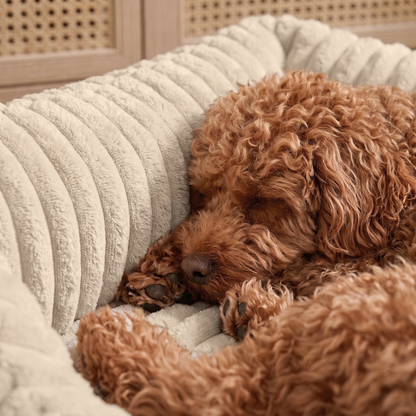 BELLA Hundebett aus Premium-Plüsch für kleine Hunde und Katzen