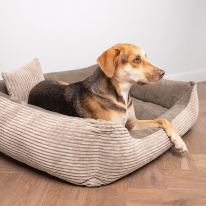 MOLLY Hundebett aus Cord
