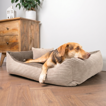 MOLLY Hundebett aus Cord