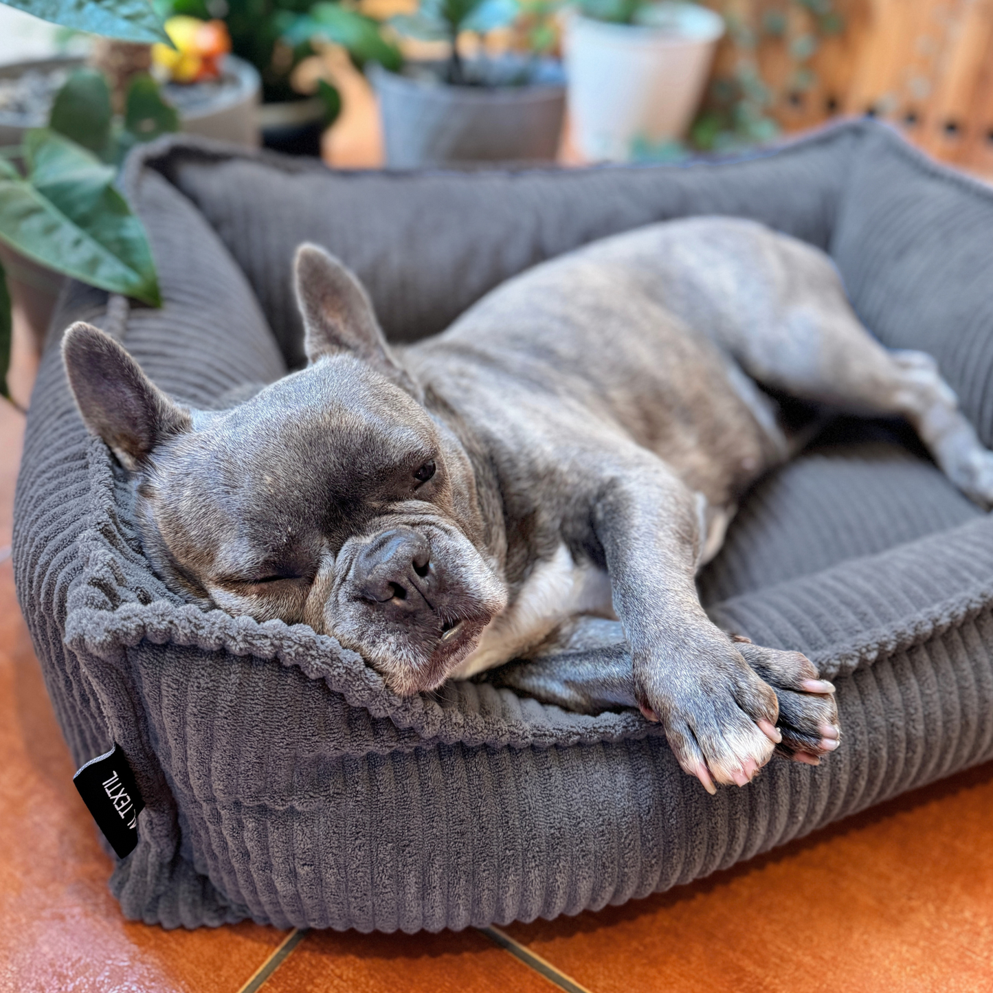 HUGO Orthopädisches Hundebett aus Cord PREMIUM-LINE