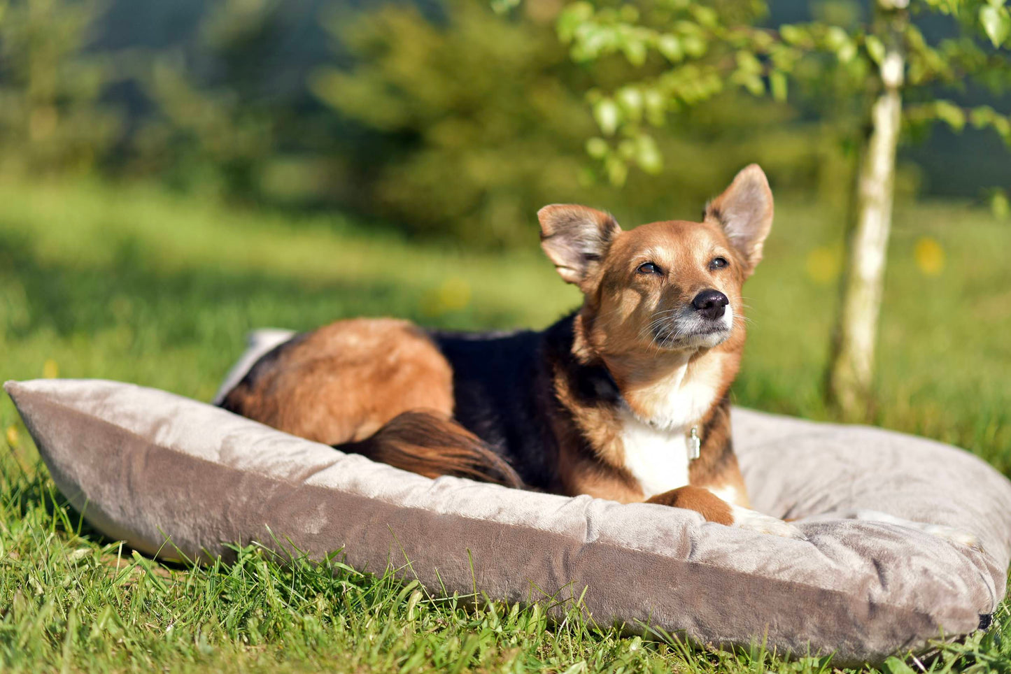 MALIBU Kuscheliges Hundekissen Braun