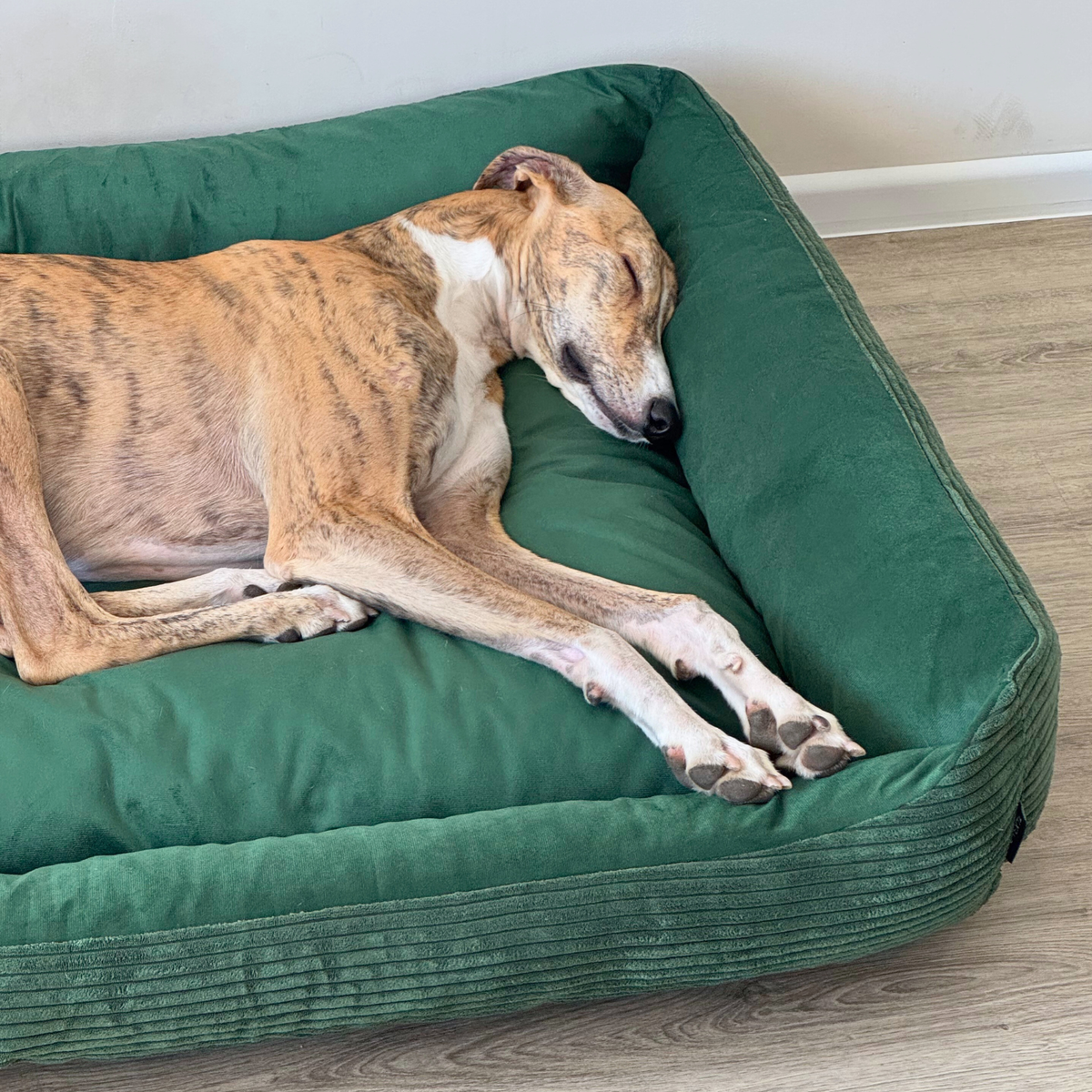 OUTLET MOLLY Hundebett aus Cord