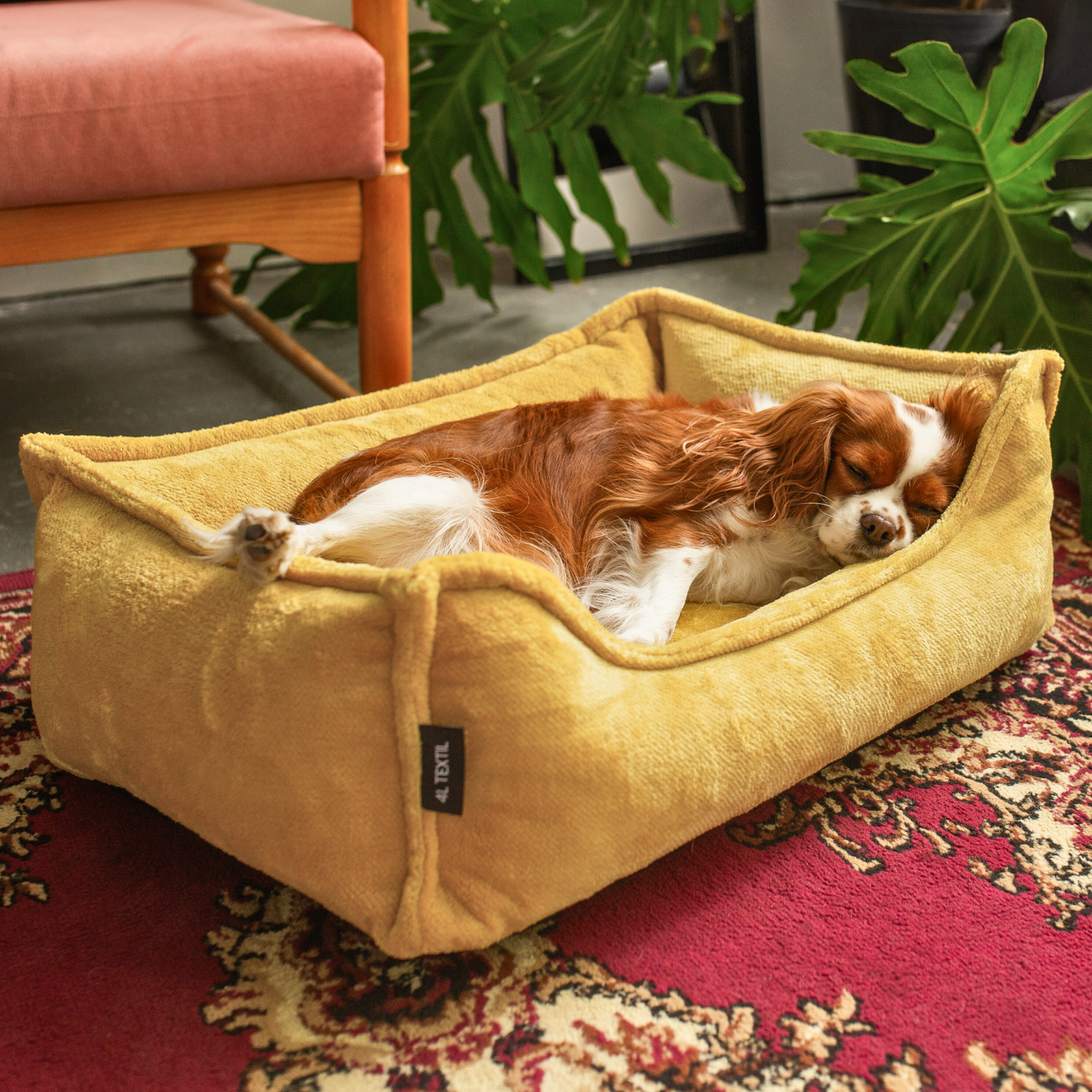 IRIS Orthopädisches Hundebett PREMIUM-LINE