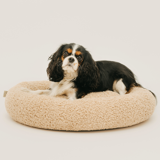MIA orthopädisches kuscheliges Hundebett aus Bouclé