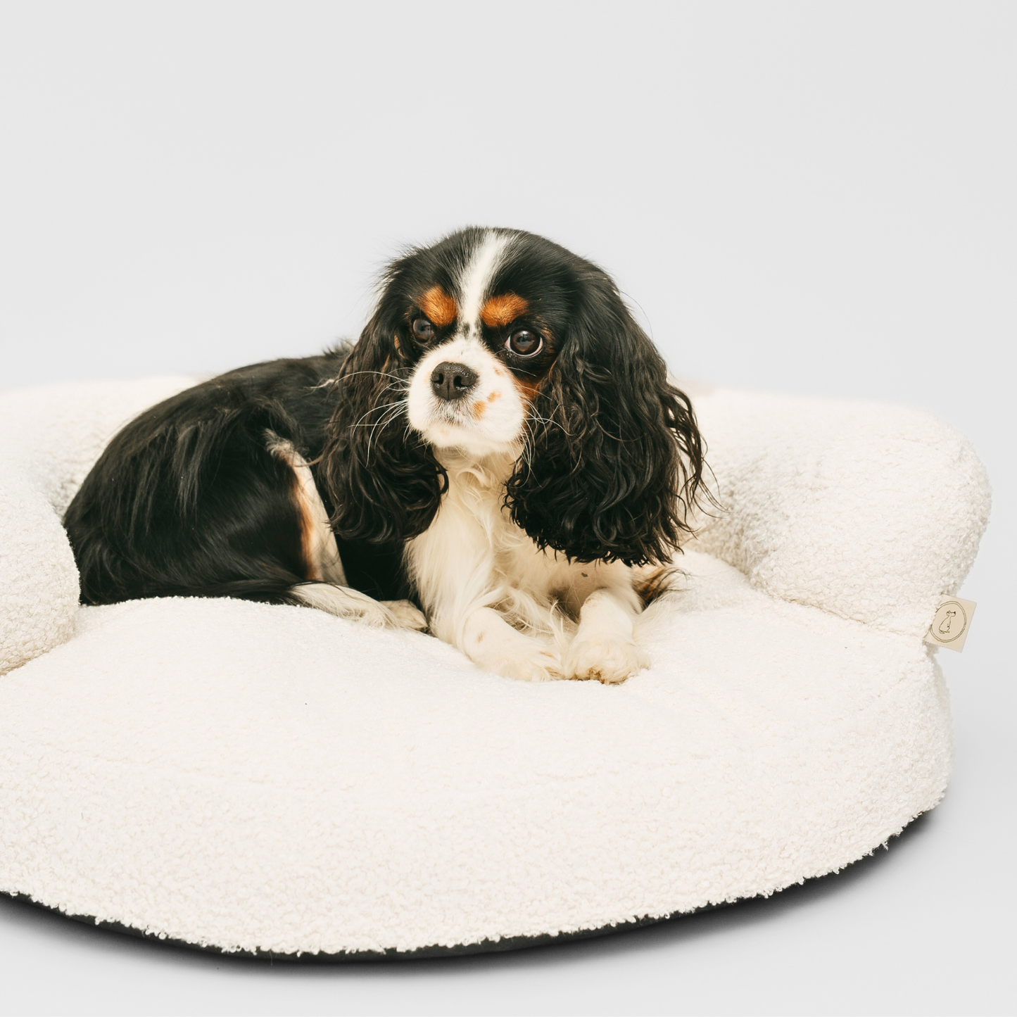 JEFFY Hundebett Bouclé-Sofa PREMIUM-LINE