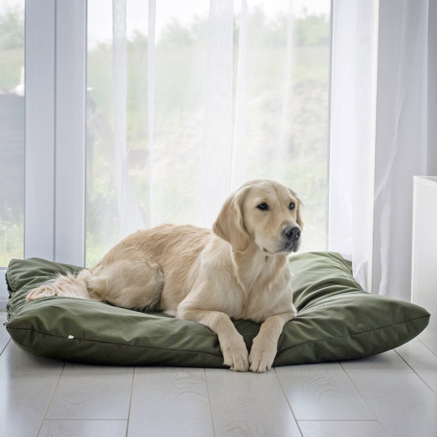 ZOE Wasserdichtes Hundekissen mit Bezug Grün