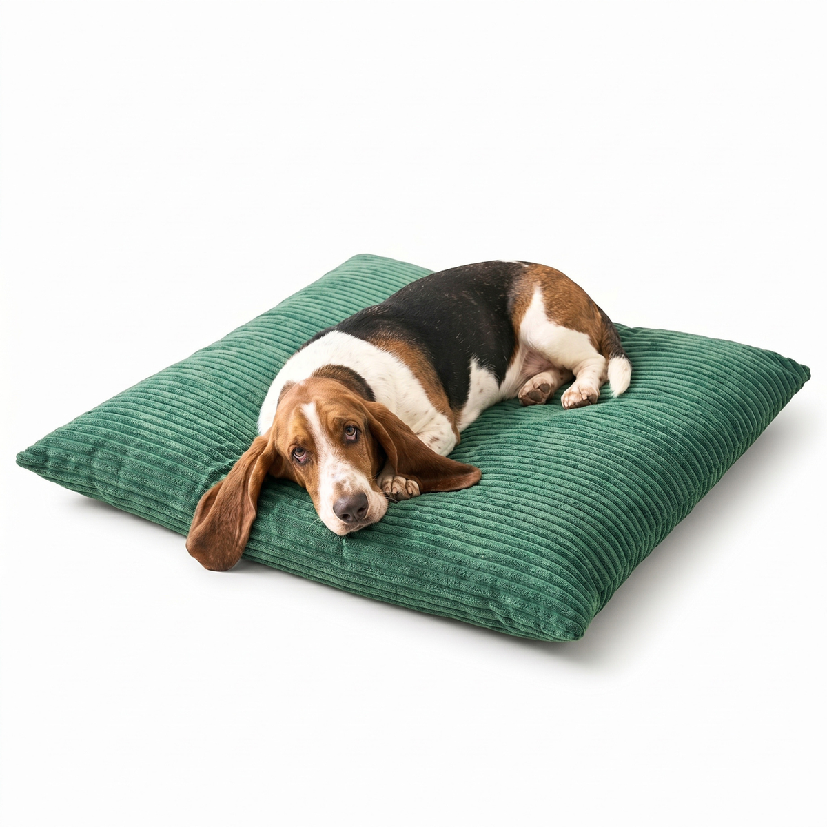 OUTLET MOLLY Hundekissen aus Cord mit Bezug