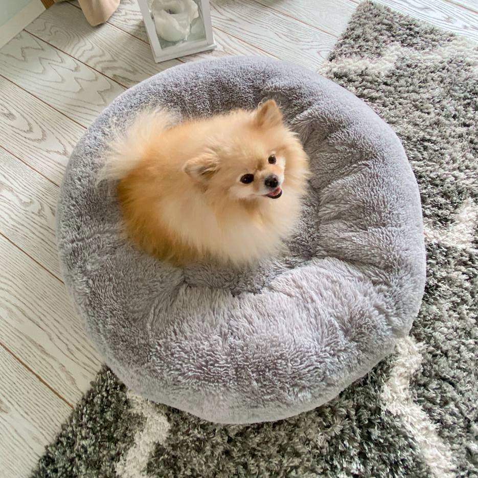 FUZZY Kuscheliges Hundebett Donut Grau