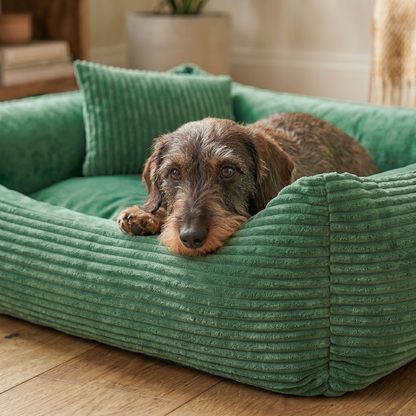 MOLLY Hundebett aus Cord