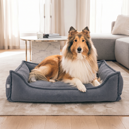 HUGO Orthopädisches Hundebett aus Cord PREMIUM-LINE