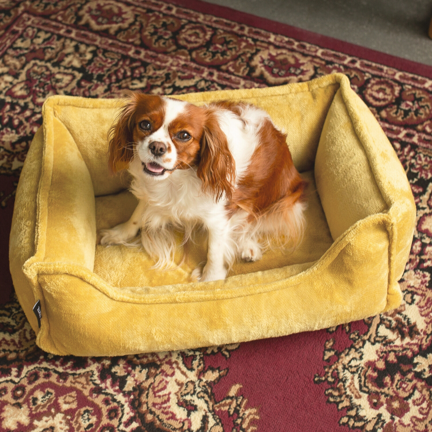 IRIS Orthopädisches Hundebett PREMIUM-LINE