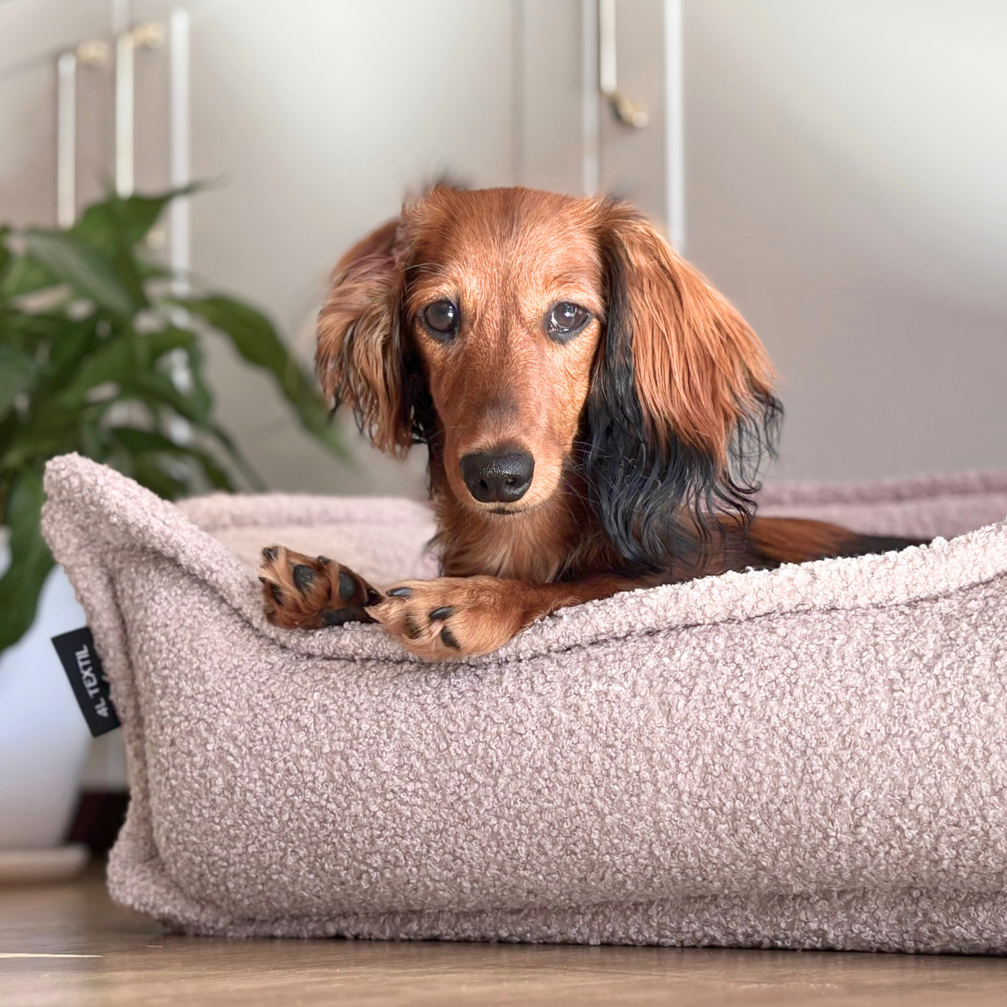 LEO - Anti-Stress Hundebett aus Bouclé PREMIUM-LINE
