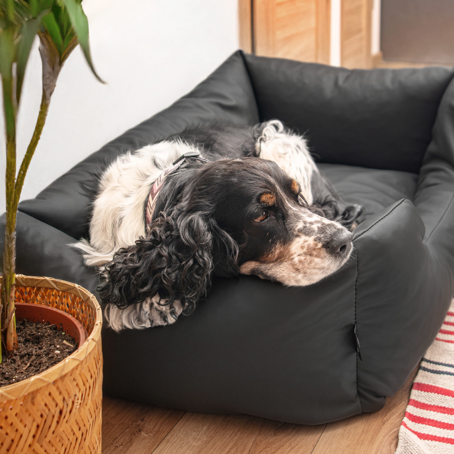 MARIO Hundebett aus Kunstleder