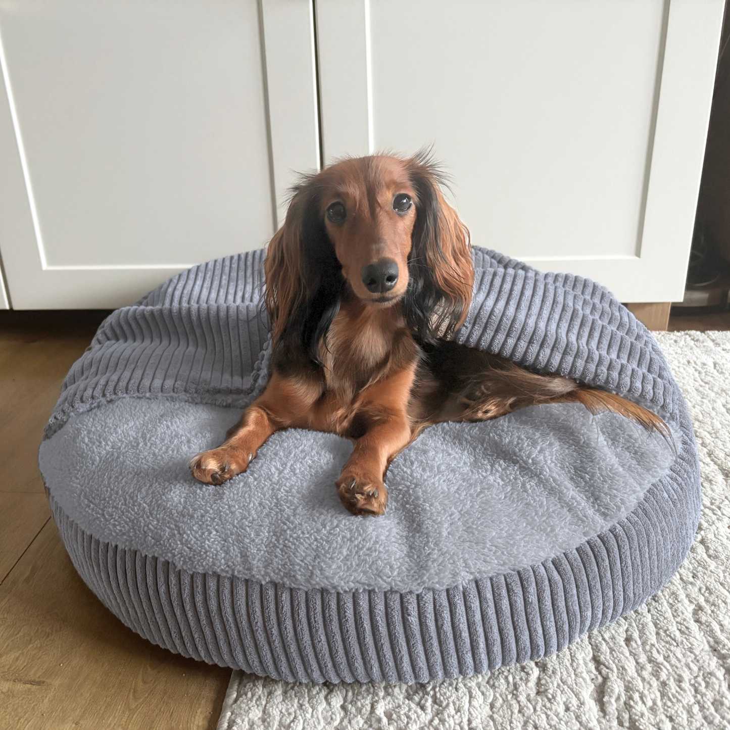 VIGO Hundebett mit Kapuze