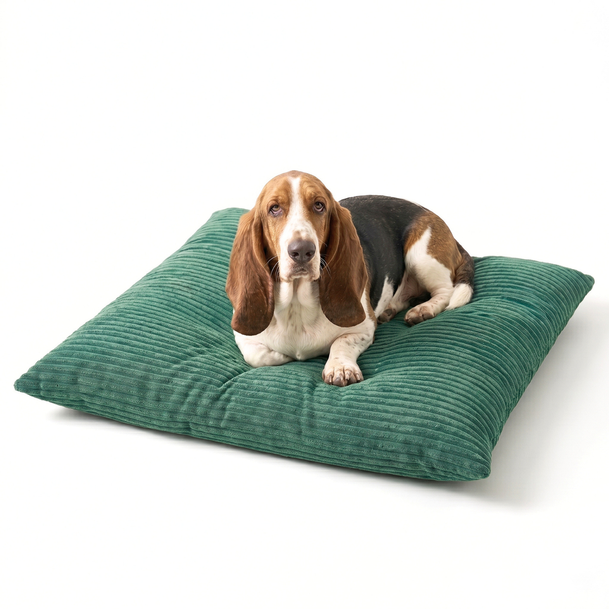 OUTLET MOLLY Hundekissen aus Cord mit Bezug