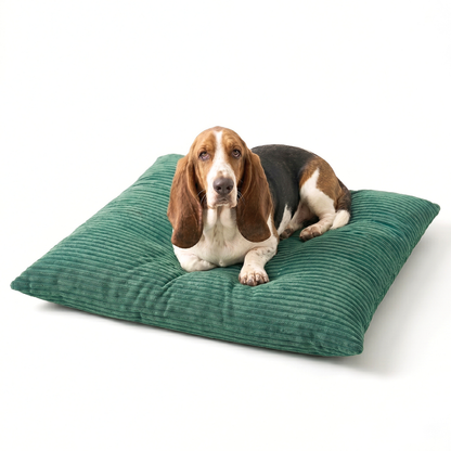 OUTLET MOLLY Hundekissen aus Cord mit Bezug