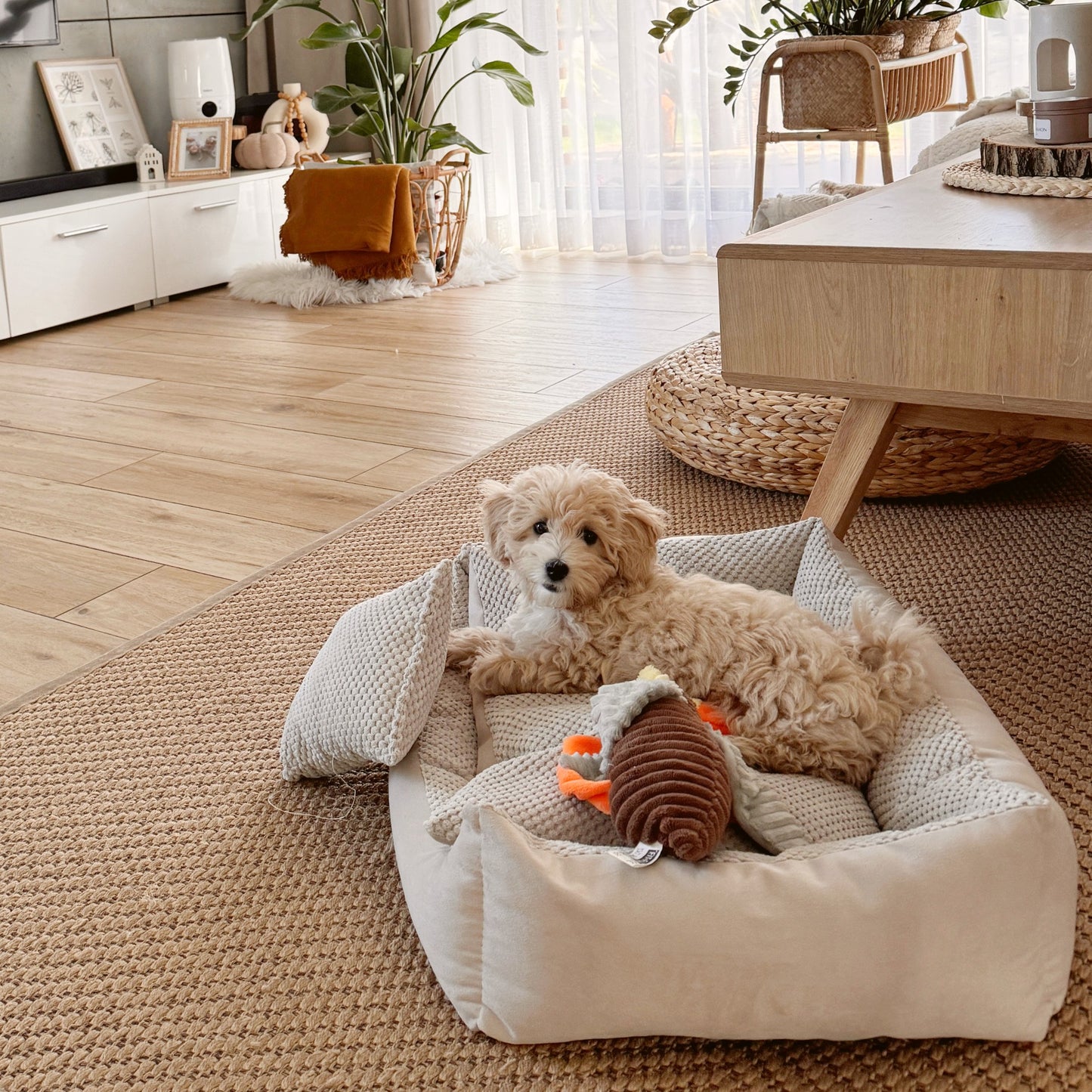 TEO Kuscheliges Hundebett Beige