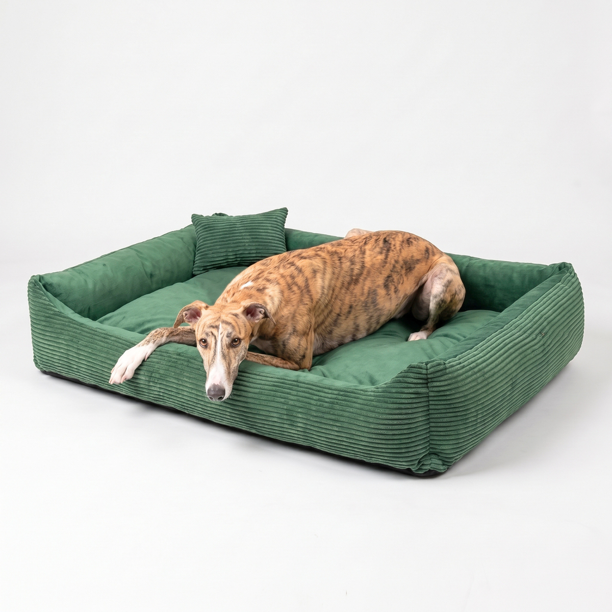 OUTLET MOLLY Hundebett aus Cord