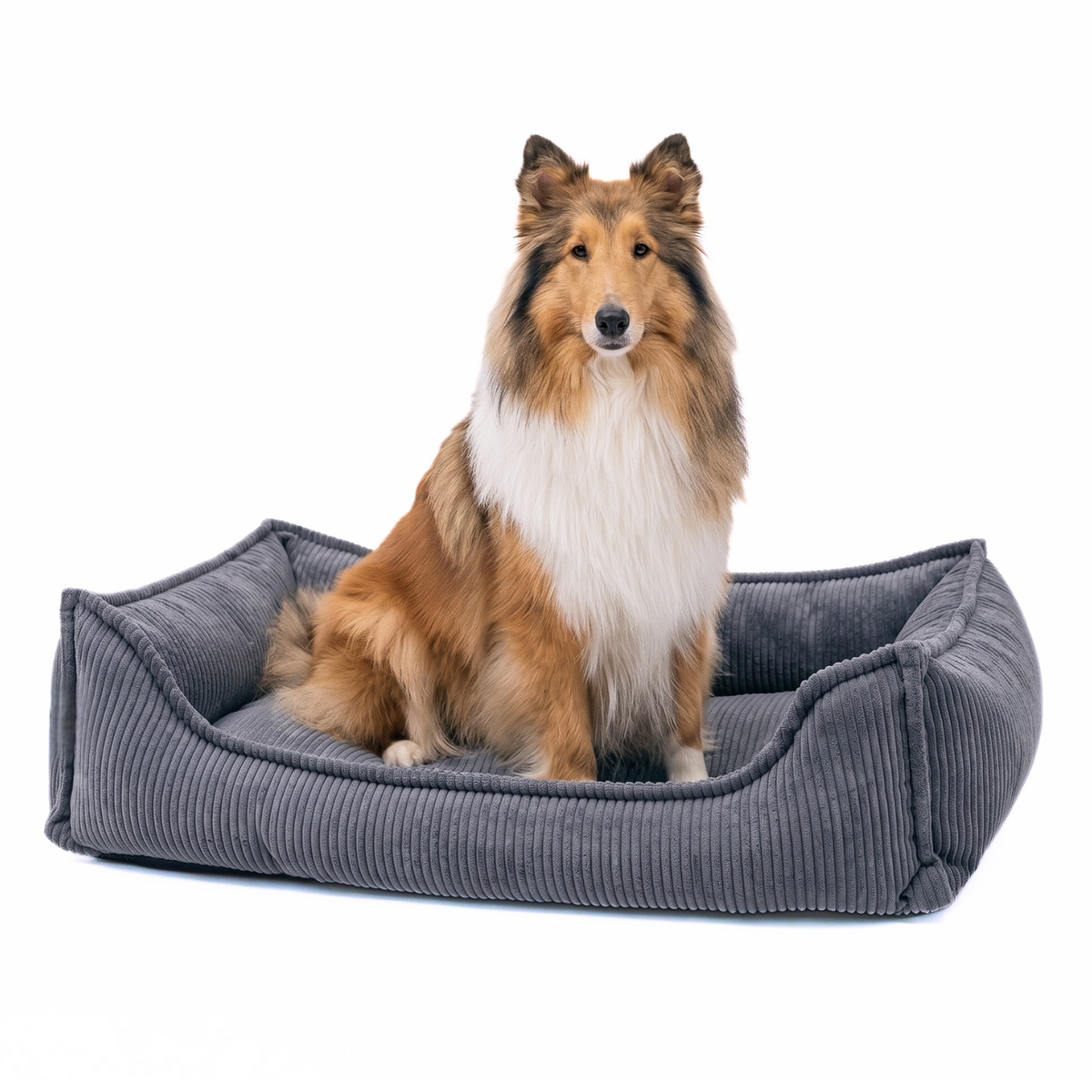 HUGO Orthopädisches Hundebett aus Cord PREMIUM-LINE
