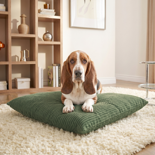 MOLLY Hundekissen aus Cord mit Bezug